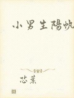 小男生阳帆