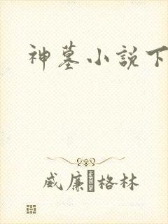 神墓小说下载封面