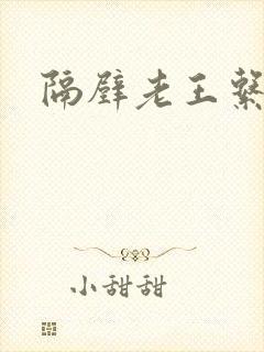 隔壁老王系统