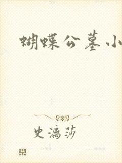 蝴蝶公墓小说