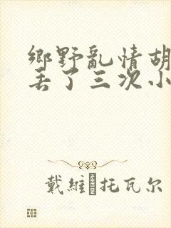 乡野乱情胡秀英丢了三次小说封面