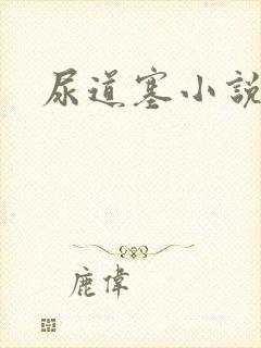 尿道塞小说