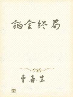 铂金终局