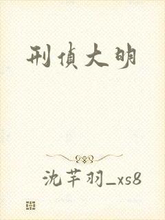 刑侦大明封面