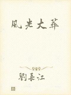 风光大葬封面