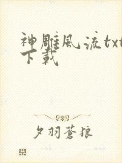 神雕风流txt下载
