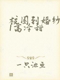 校园到婚纱1V1高冷甜