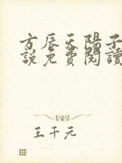 方辰天阳子的小说免费阅读