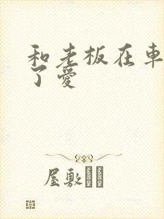 和老板在车里做了爱