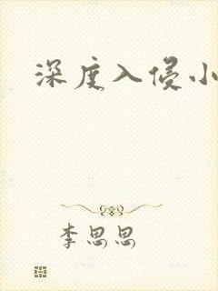 深度入侵小说