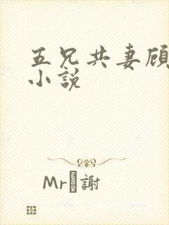五兄共妻顾心儿小说封面