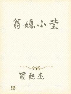 翁媳小莹封面