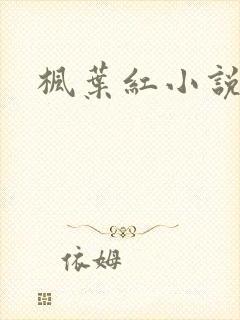 枫叶红小说