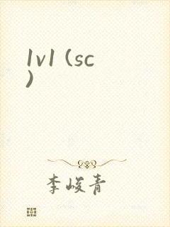 1v1 (sc)封面