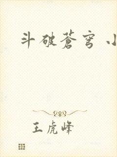 斗破苍穹 小说封面