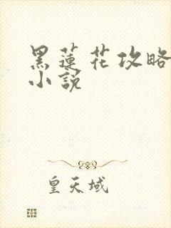 黑莲花攻略手册小说