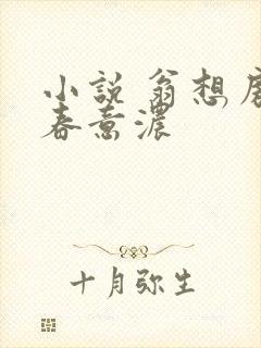 小说 翁想房中春意浓