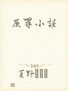 原罪小说