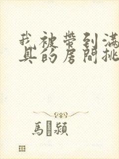 我被带到满是玩具的房间挑调游戏