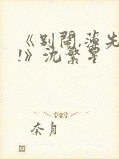 《别闹,薄先生!》沈繁星封面