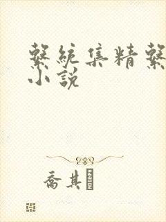系统集精系统 小说
