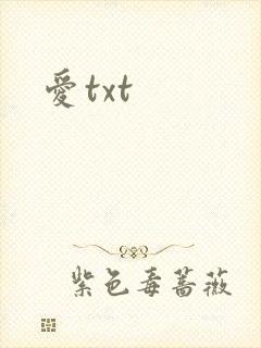爱txt
