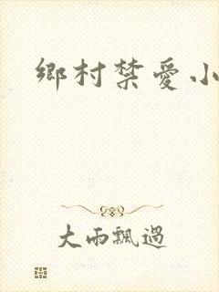 乡村禁爱小说
