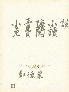 小青梅小说全文免费阅读