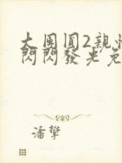 大团圆2亲情会闪闪发光免费