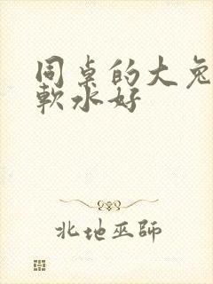 同桌的大兔子好软水好