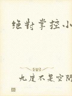绝对掌控小说