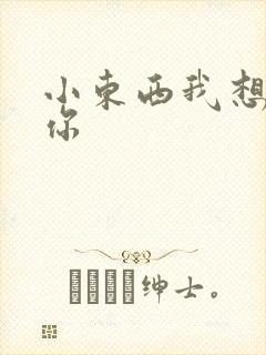 小东西我想弄坏你