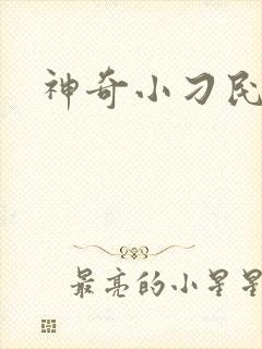 神奇小刁民