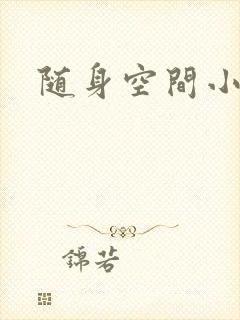 随身空间小说