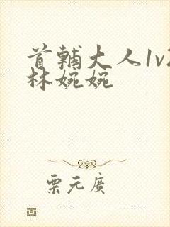 首辅大人1v2林婉婉封面