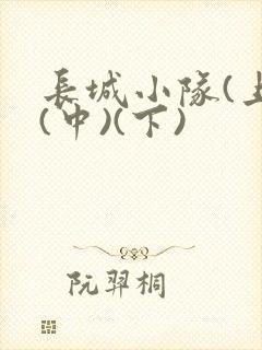 长城小队(上)(中)(下)封面