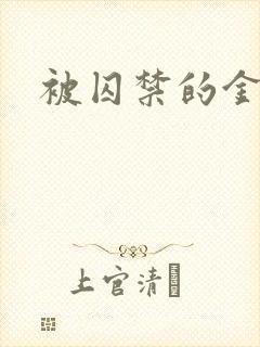 被囚禁的金丝雀