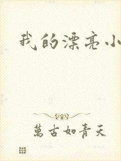 我的漂亮小后妈