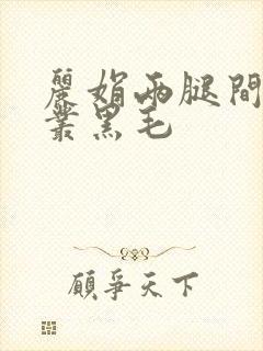 丽娟两腿间一大丛黑毛封面