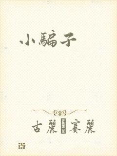 小骗子封面