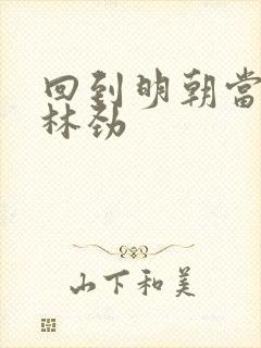 回到明朝当王爷林劲封面