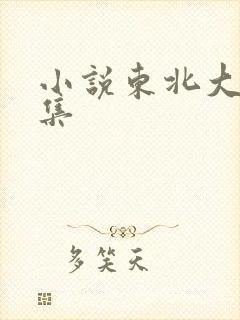 小说东北大炕全集
