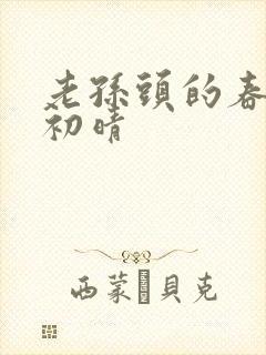 老孙头的春天林初晴