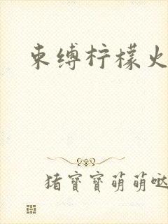 束缚柠檬火焰封面