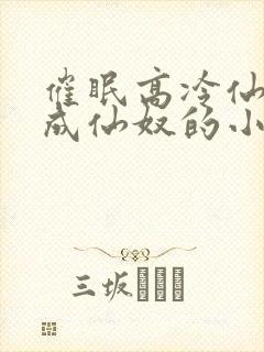 催眠高冷仙奴变成仙奴的小说