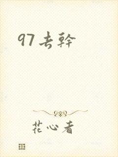97去干封面