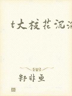 t大校花沉沦封面