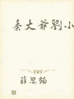 秦大爷刘小静