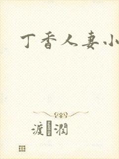 丁香人妻小说封面