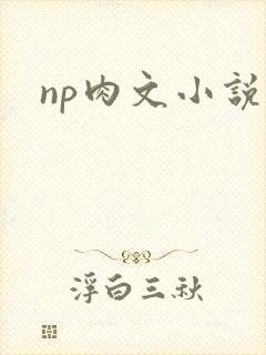np肉文小说